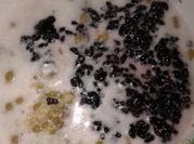 Gambar bubur ketan hitam madura