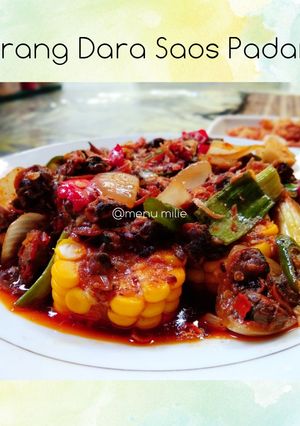 Foto resep Kerang Dara saos padang (mudah semua pasti suka)