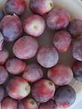 Uvas congeladas