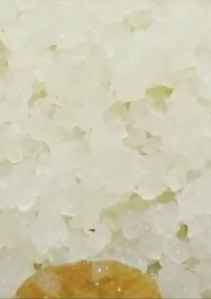 Una foto de Tip: el cuidado de los búlgaros de agua
