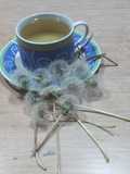Infusión diente de león