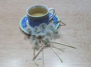 Una foto de Infusión diente de león