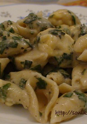 A picture of Pasta in Spinach and Cream Sauce.