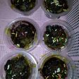 Brownis cup kukus
