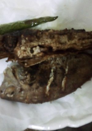 صورة لوصفة سمك بحريني طازج
