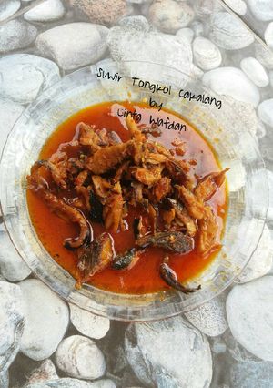 Foto resep Suwir Tongkol Cakalang