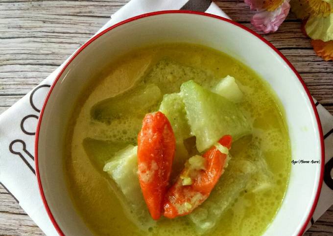 Resep Lodeh Labu Siam Oleh Ayu Mama Aura Cookpad