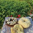 Donat Moist tanpa Kentang
