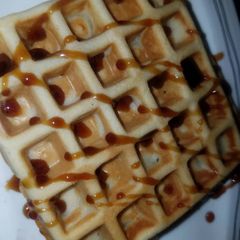 A picture of Waffles.