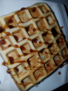 A picture of Waffles.
