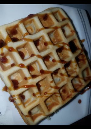 A picture of Waffles.