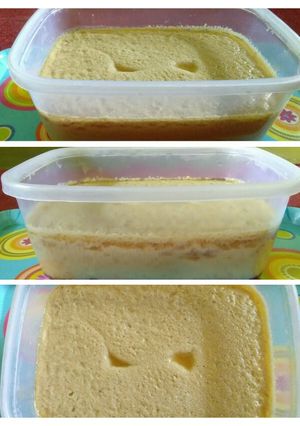 Foto resep Sirkayan