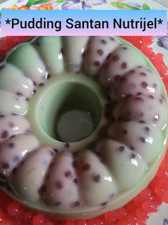 Foto resep *Pudding Santan Nutrijel*