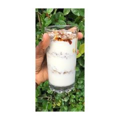 A picture of Muesli Parfait.