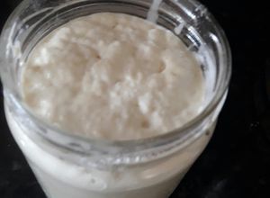 Foto de Fermento natural de kefir