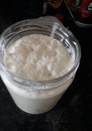 Foto de Fermento natural de kefir