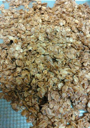 A picture of How to: Granola.