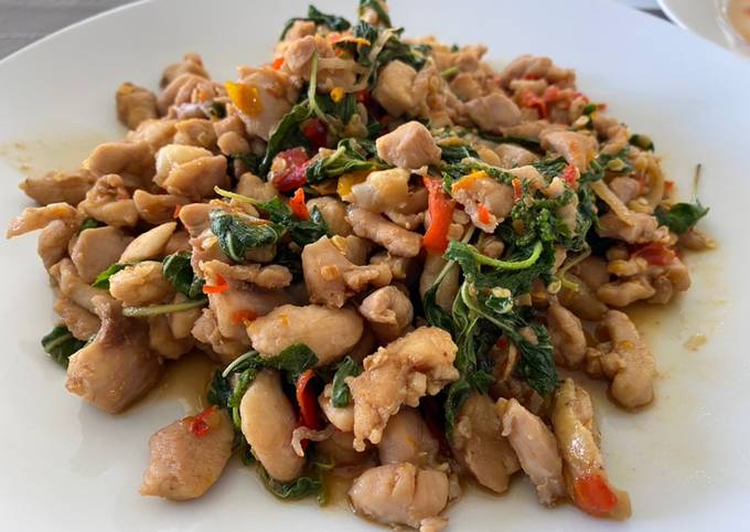 Stirred fried Chicken with holy basil