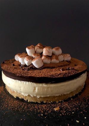 🍬🧀棉花糖巧克力芝士蛋糕S’mores cheesecake 的食譜成品照片