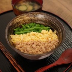 A picture of Tricolor Don - Sansyoku Soboro Don - Japanese rice bowl.