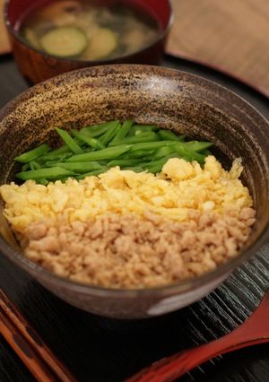 A picture of Tricolor Don - Sansyoku Soboro Don - Japanese rice bowl.