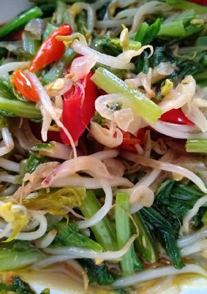 Foto resep Tumis sawi dan kecambah