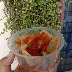 A picture of Tahu balek.