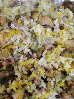 عکسی از دستور پلولوبیا چشم بلبلی