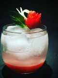 Sotol en Sirope