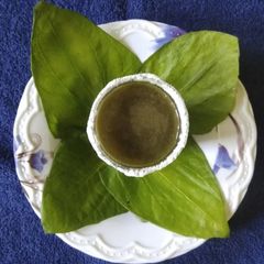 A picture of Paan sharbat.