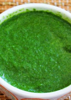 ઈઝી & ટેસ્ટી ફુદીના ની ચટણી (Easy & Tasty Pudina Chutney Recipe In Gujarati) રેસીપી મુખ્ય ફોટો