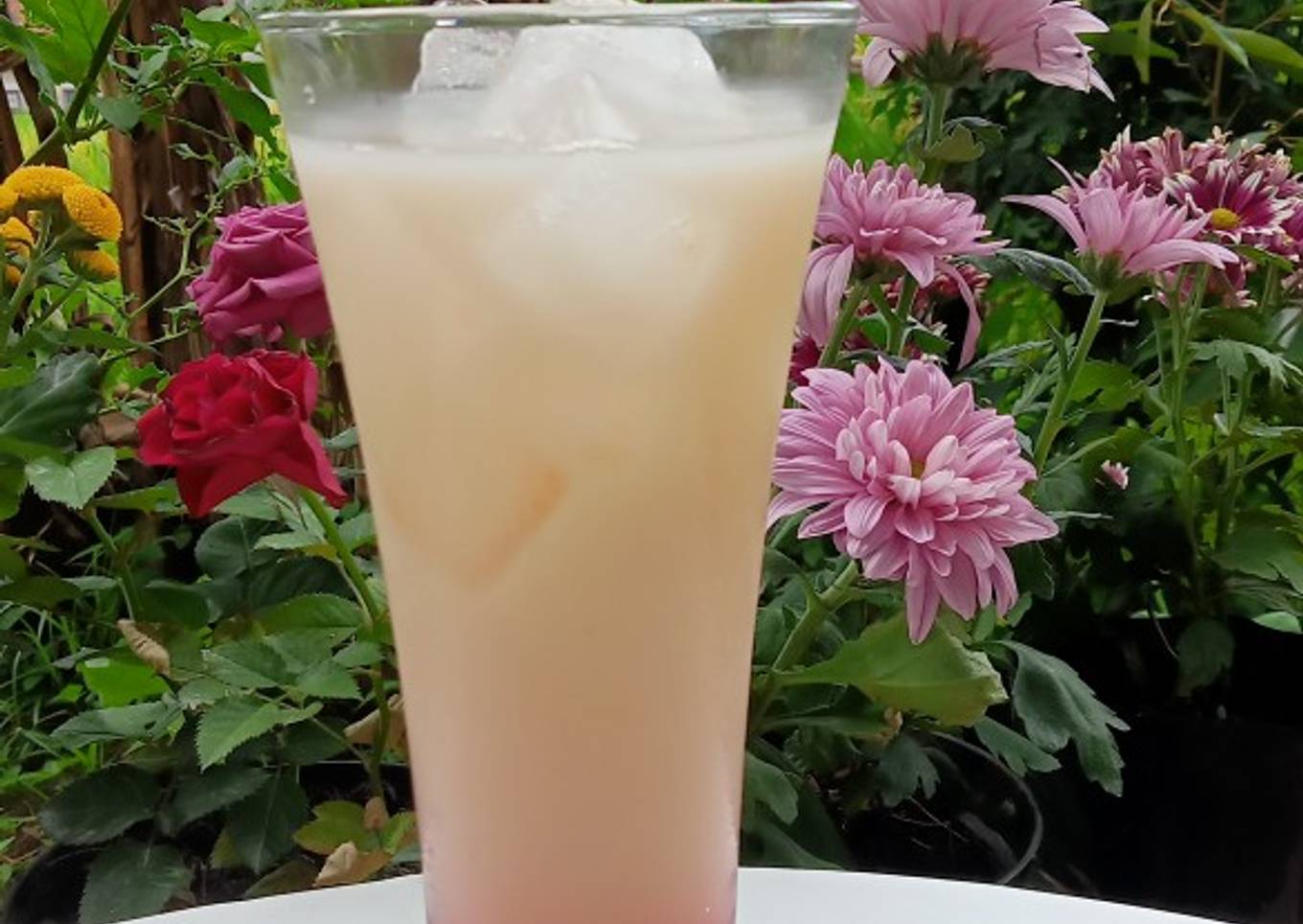 Ice Yakult Cocopandan