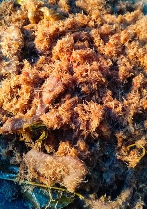 Foto resep Dendeng ragi