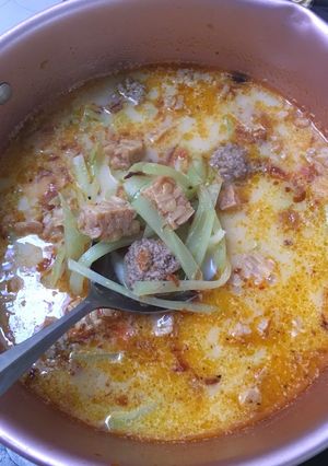 Foto resep Lodeh labu siam, tempe dan bola daging