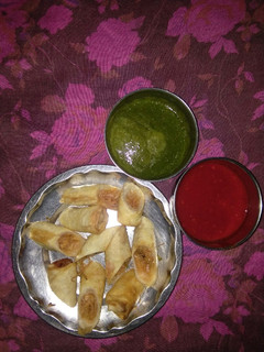 A picture of Veg Spring Roll.