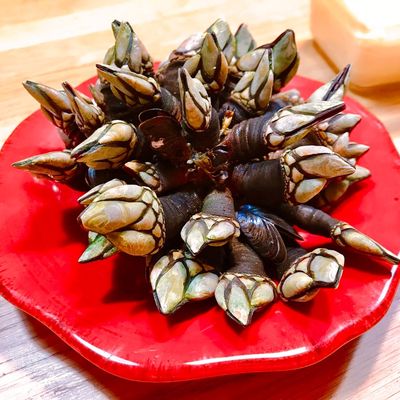 1 m&oacute;n h&agrave;u cổ ngỗng thơm ngon, đa dạng v&agrave; dễ l&agrave;m tại nh&agrave; - Cookpad