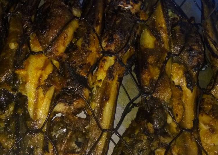 Bagaimana Membuat Lele bakar mantap Anti Gagal