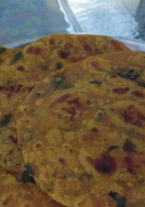 A picture of Mix bhaji thepla.