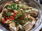 Gambar kerapu fillet