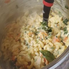 A picture of Cheesy chicken mac and cheese with veggies.