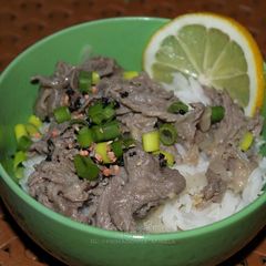 A picture of Lemon Gyudon.