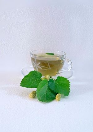 عکسی از دستور دمنوش برگ توت سفید