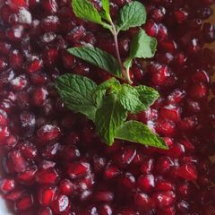 A picture of Pomegranate chat.