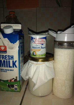 Foto resep Homemade Yoghurt Simpel