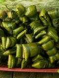 Buras