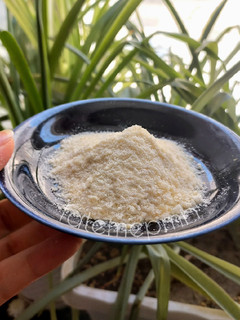 عکسی از دستور پودر سوخاری خانگی (دور نریزیم)