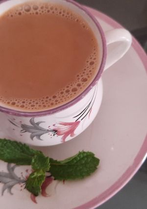 ફુદીના વાળી ચા (Pudina Tea Recipe In Gujarati) રેસીપી મુખ્ય ફોટો