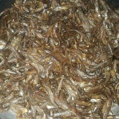 A picture of Deep Fried Marinated Omena.