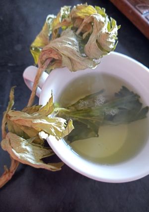 Una foto de Té de hojas de apio 🌿🍮