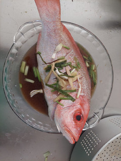 Foto resep Kakap merah tim kecap asin